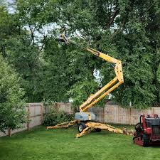 Best Aeration Services  in Hummelstown, PA