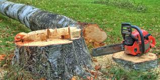 Best Firewood Processing and Delivery  in Hummelstown, PA
