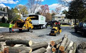 Best Grass Overseeding  in Hummelstown, PA