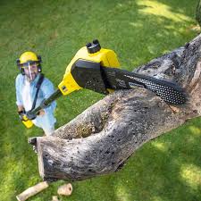 Best Utility Line Clearance  in Hummelstown, PA