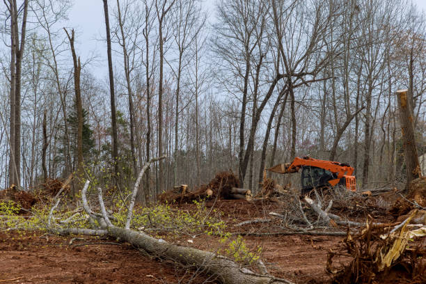  Hummelstown, PA Tree Care Pros